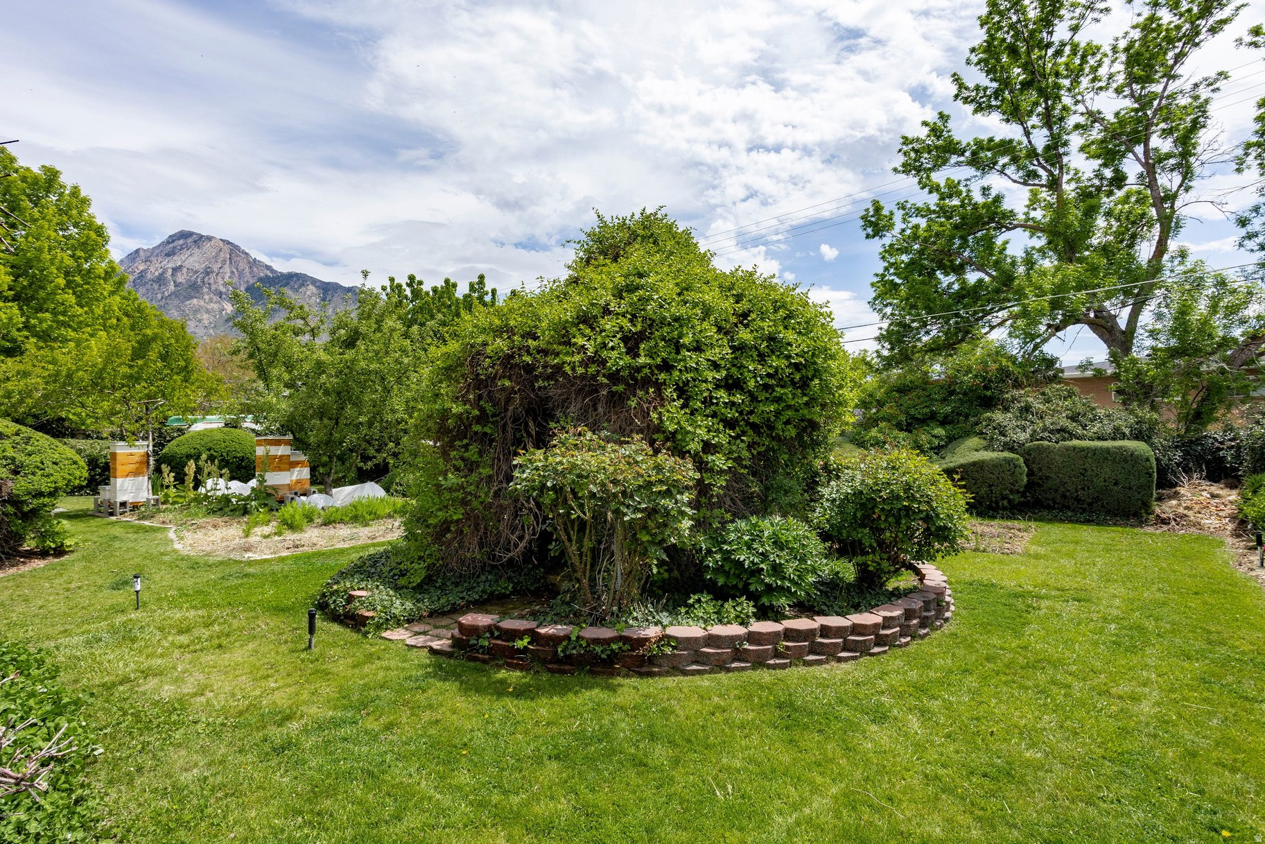 main property photo 61