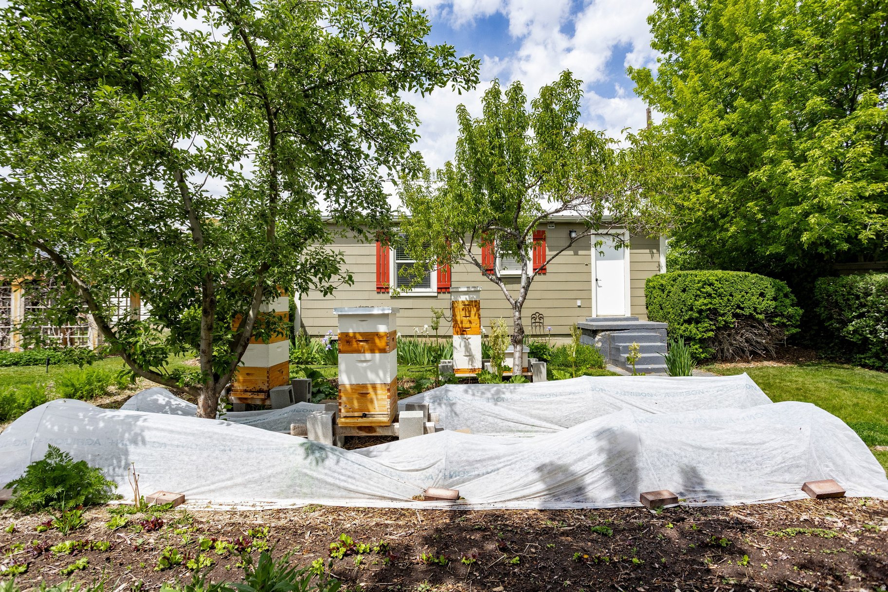 main property photo 66