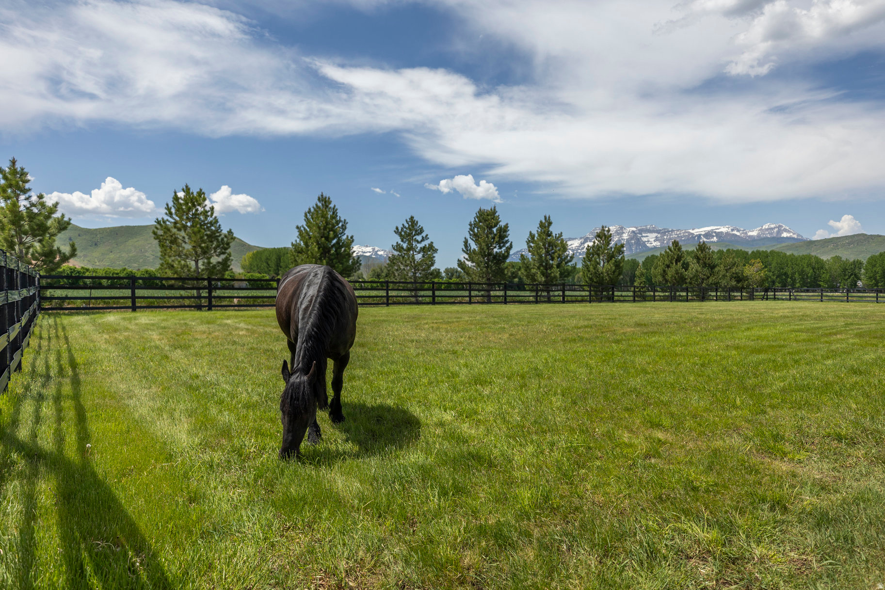 main property photo 72