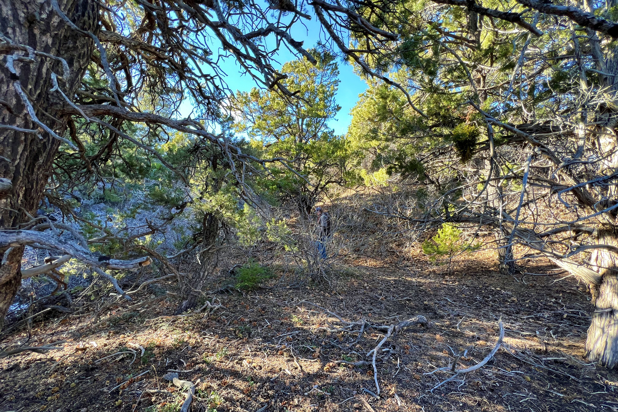 main property photo 13