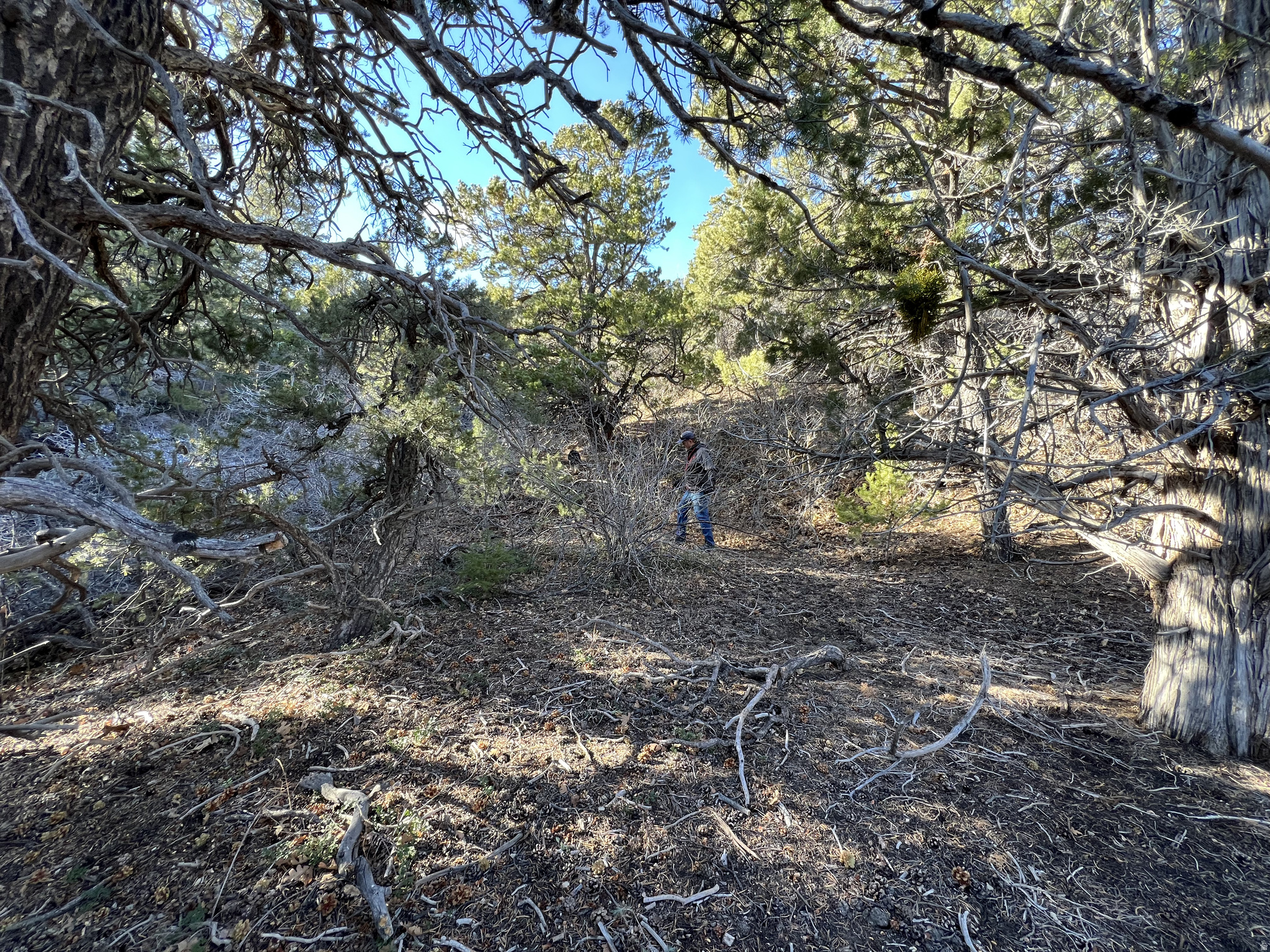 main property photo 42