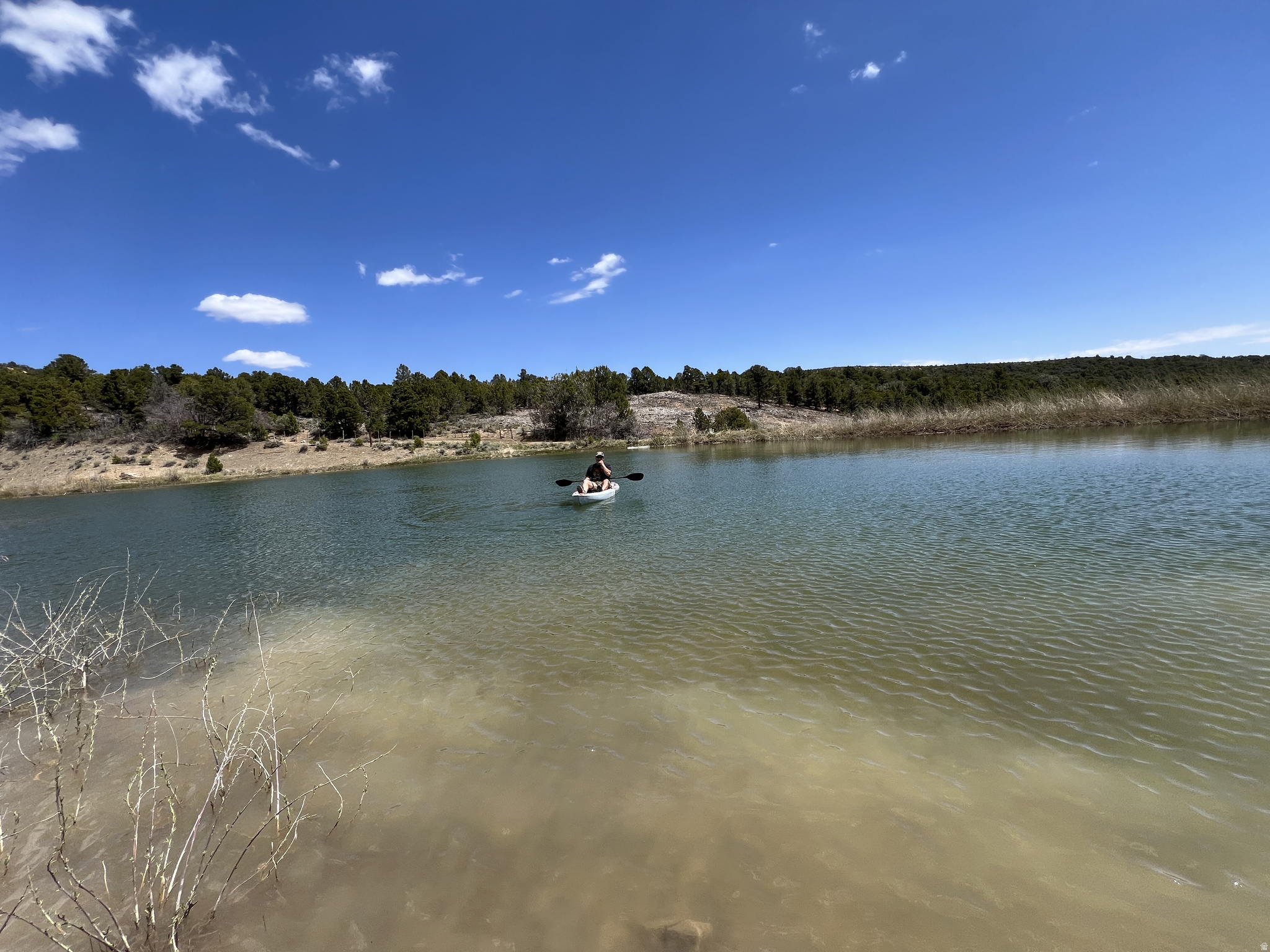main property photo 52