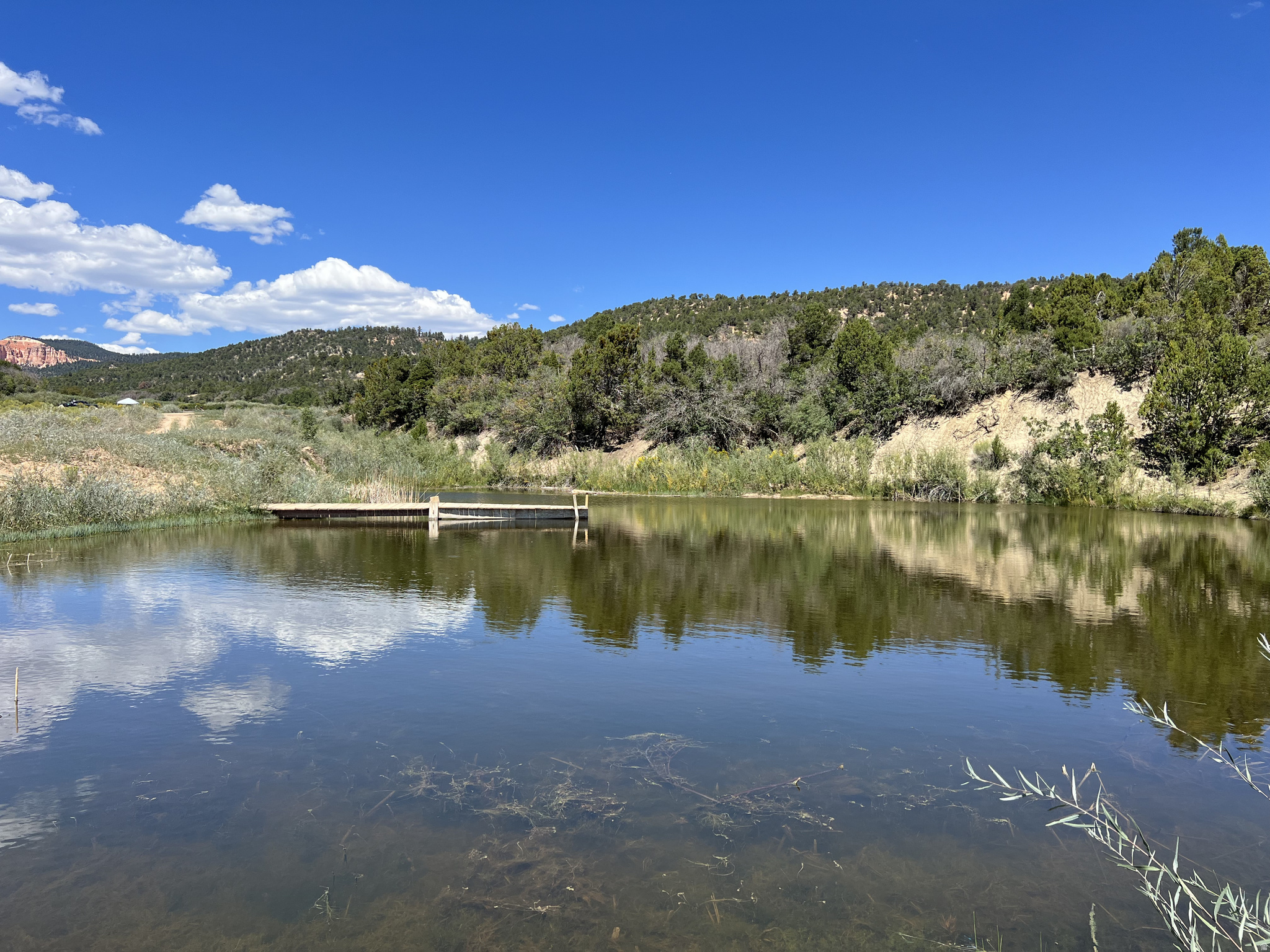 main property photo 7