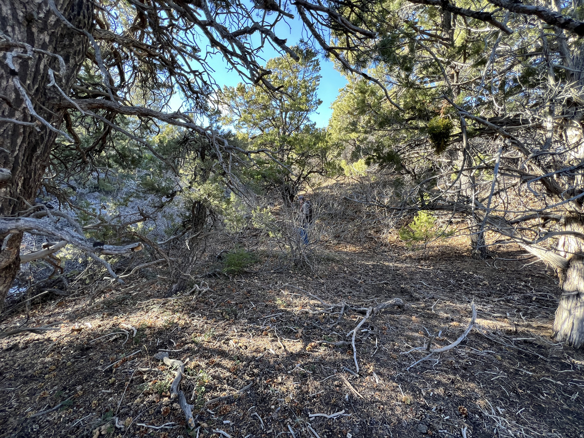 main property photo 21