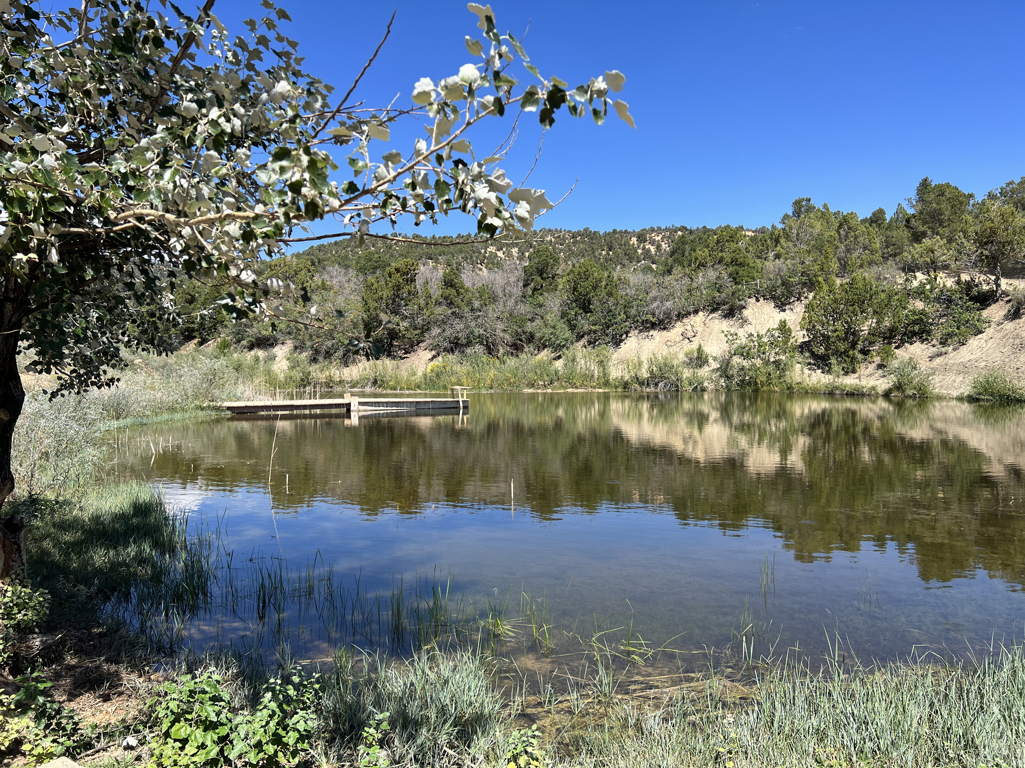 main property photo 27