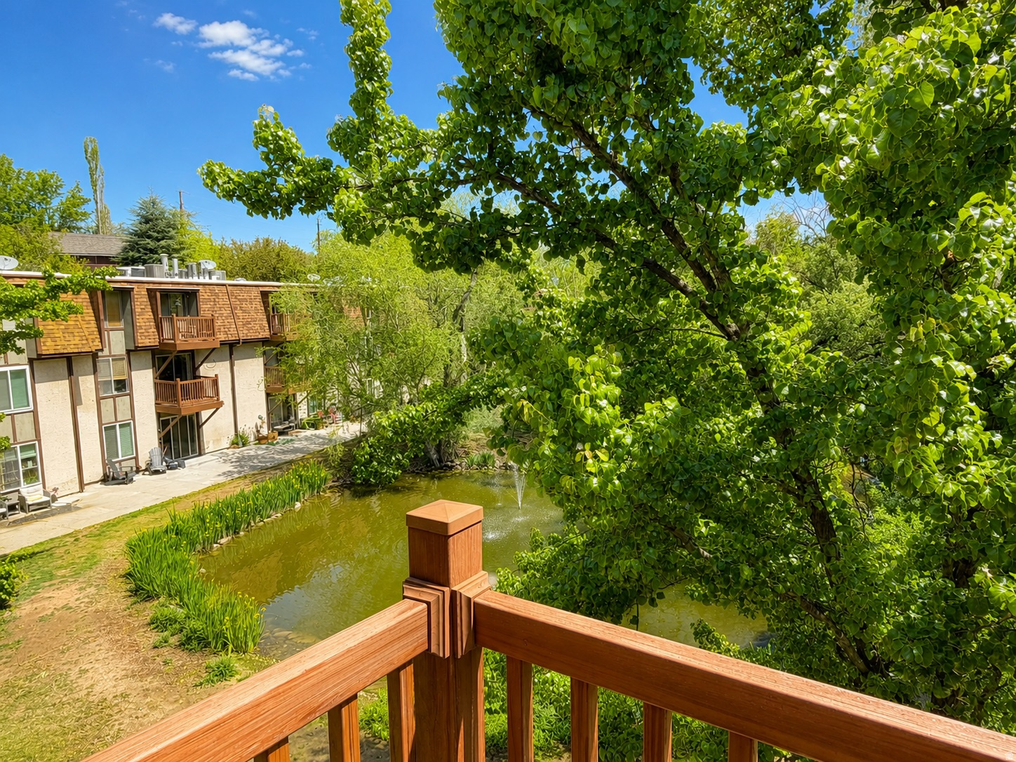 main property photo 14