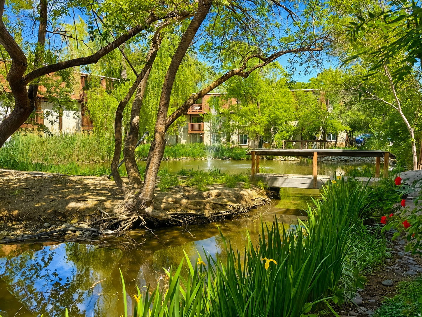 main property photo 19