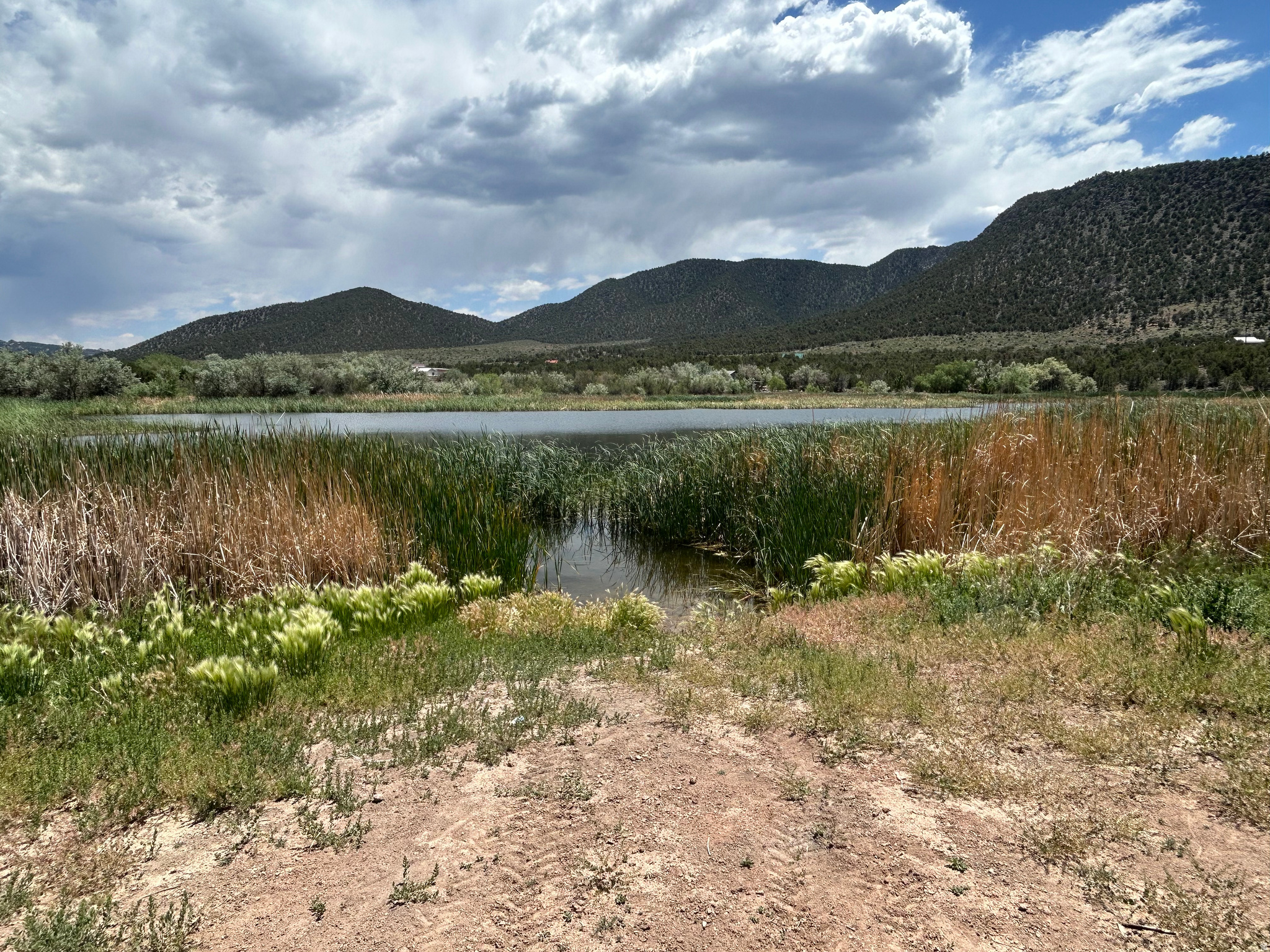 main property photo 4