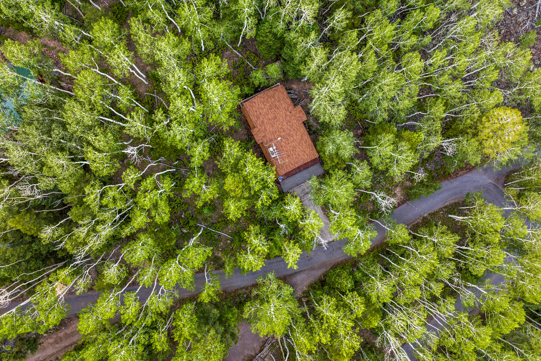 main property photo 19