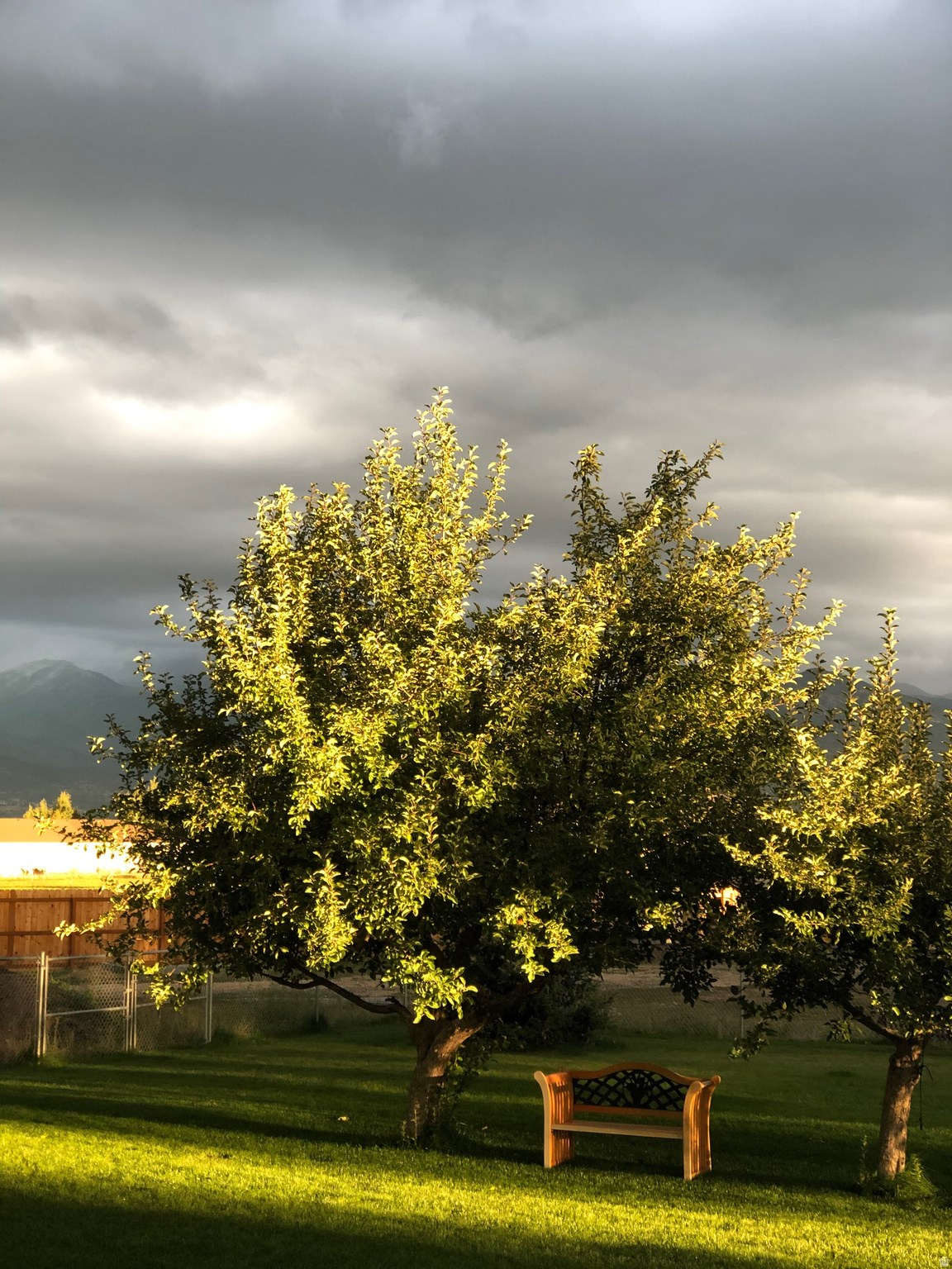 main property photo 62