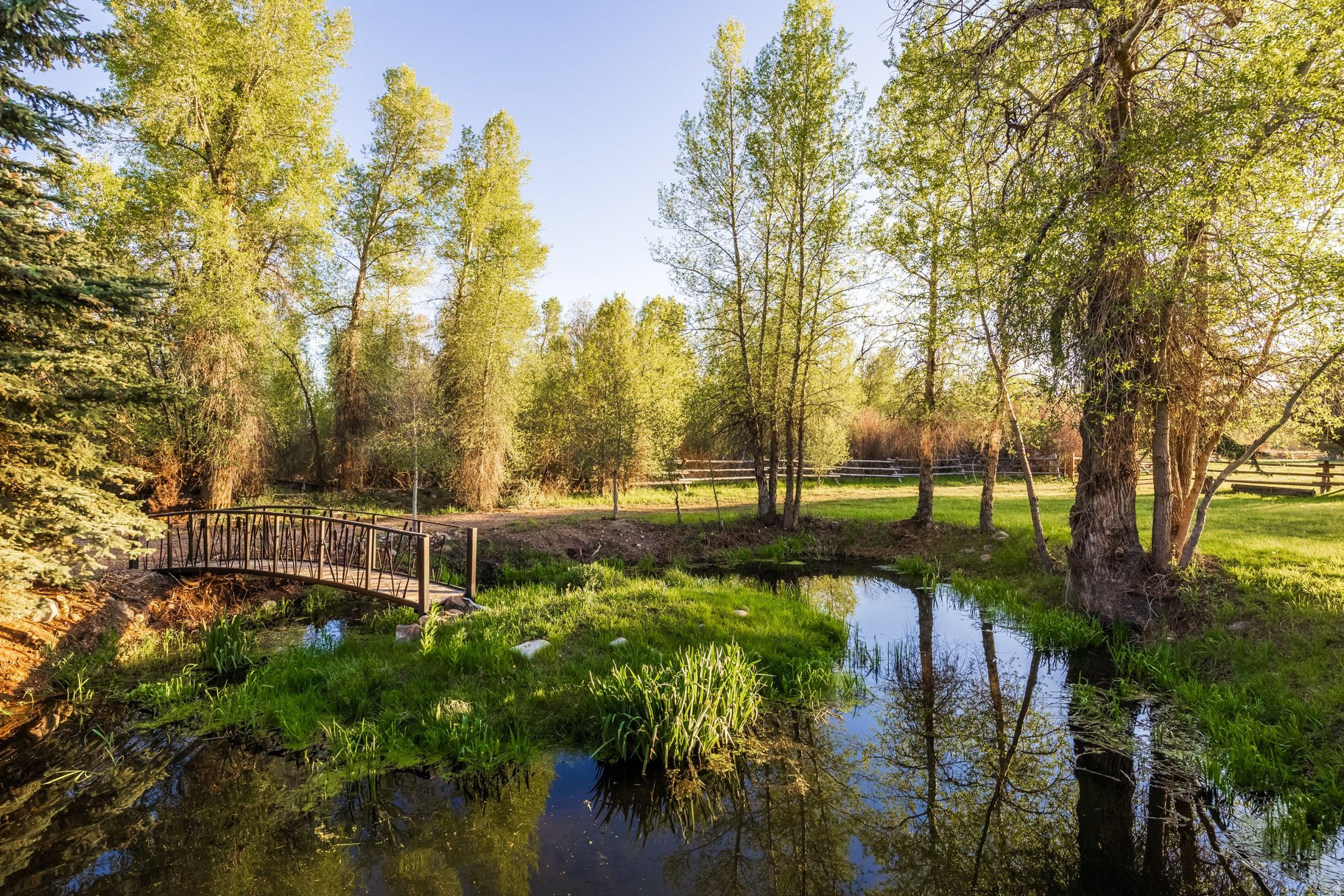 main property photo 61