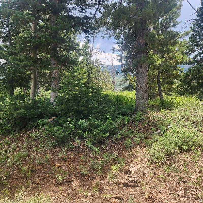 main property photo 4