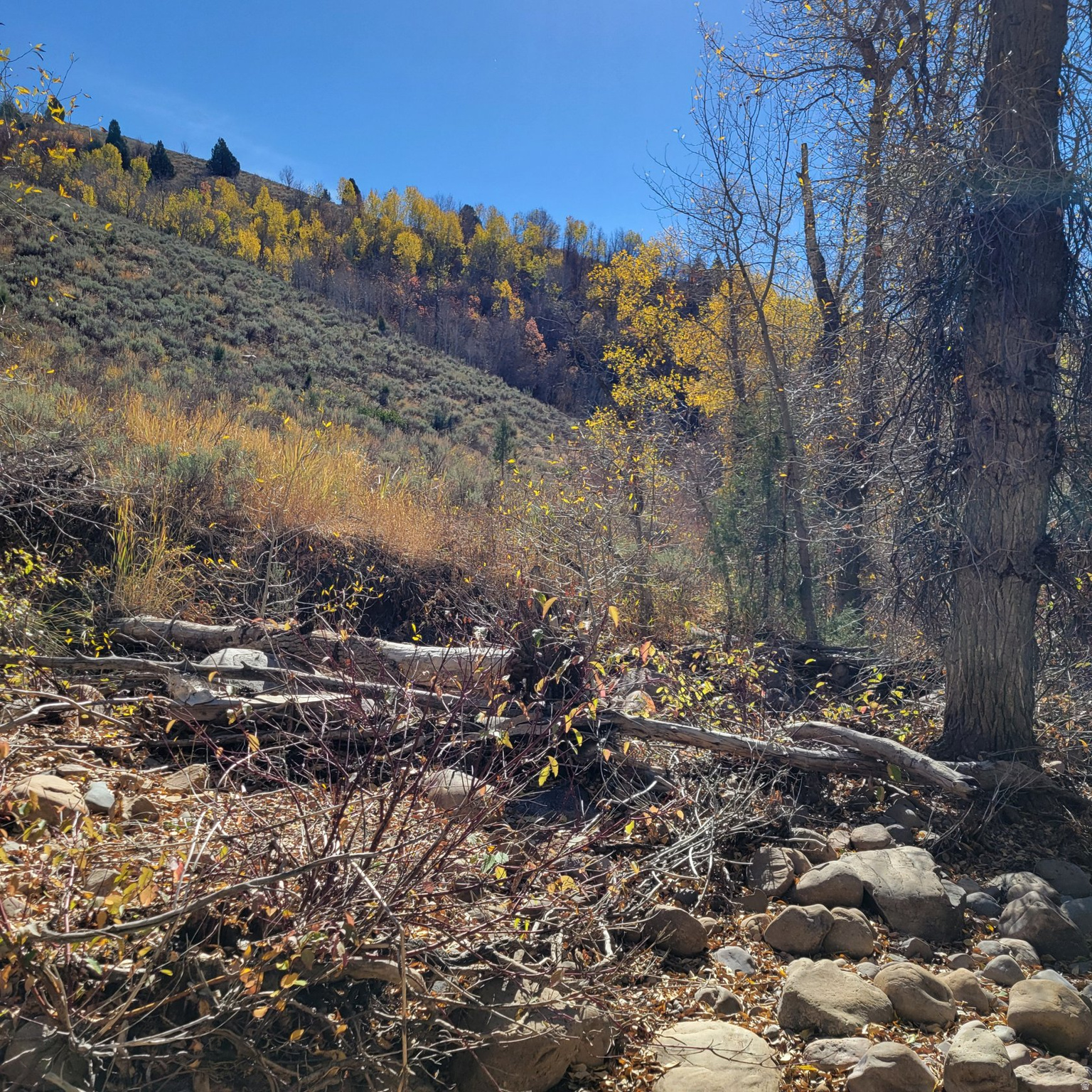 main property photo 10