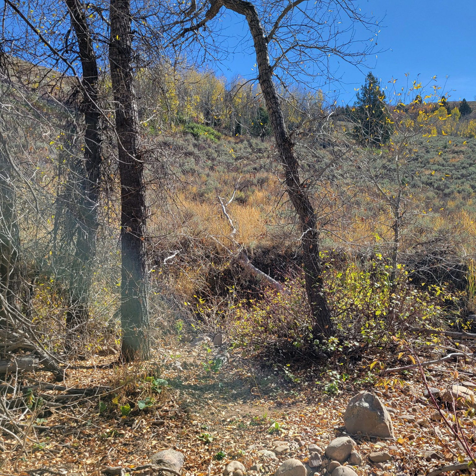main property photo 11