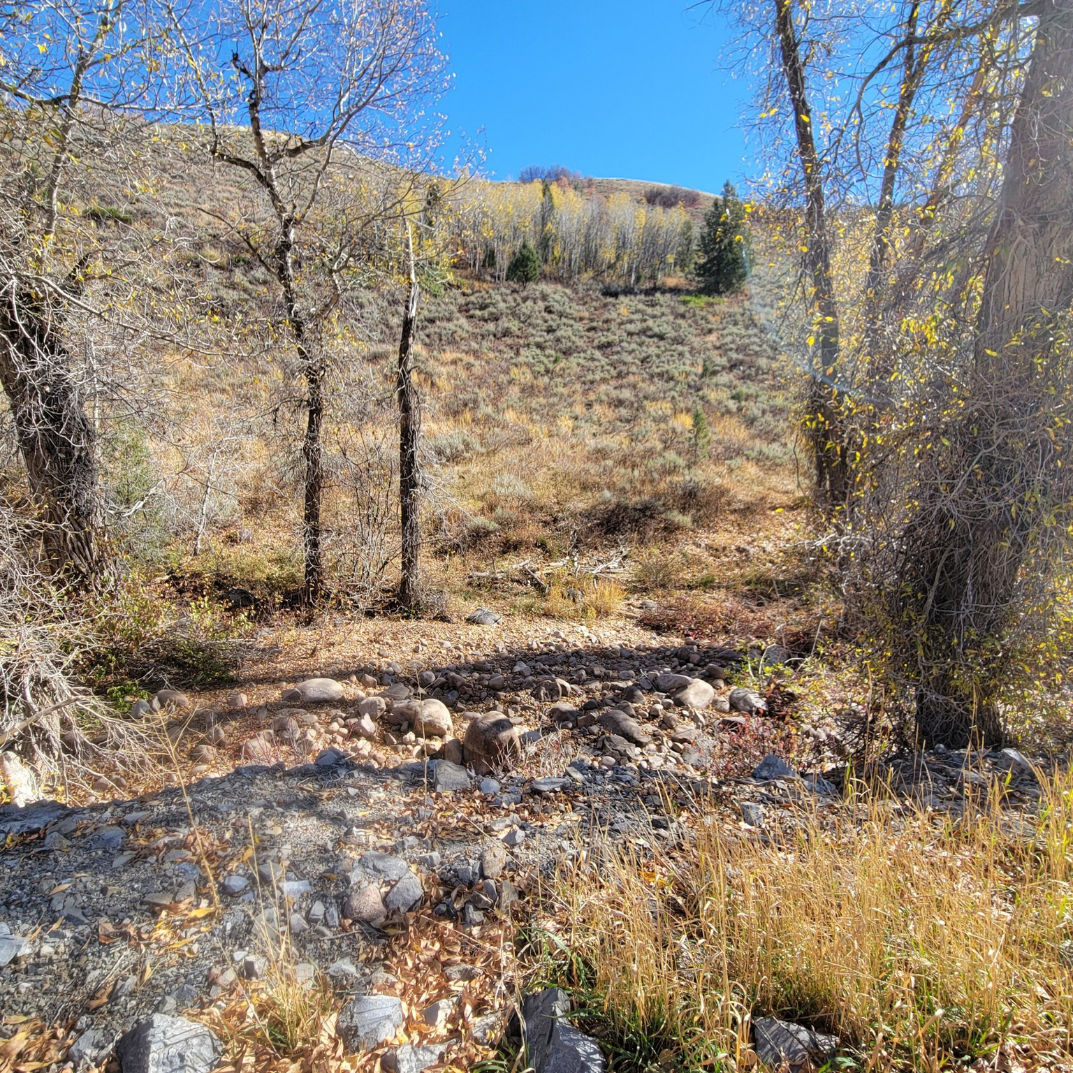 main property photo 16