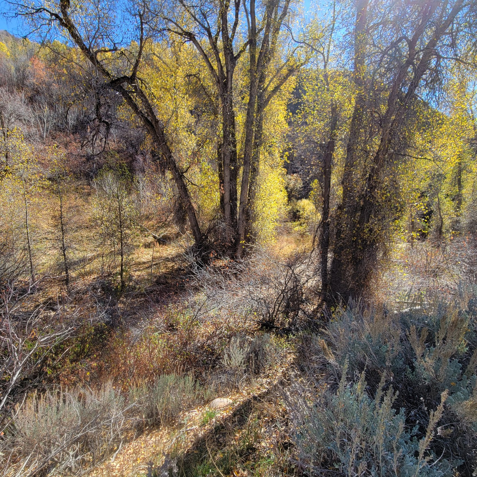 main property photo 21