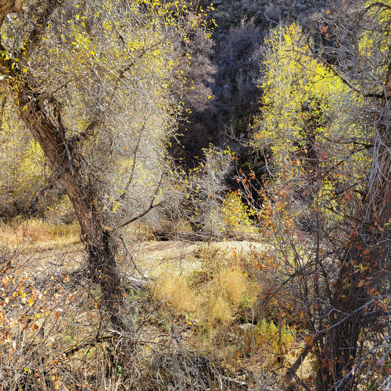 main property photo 23