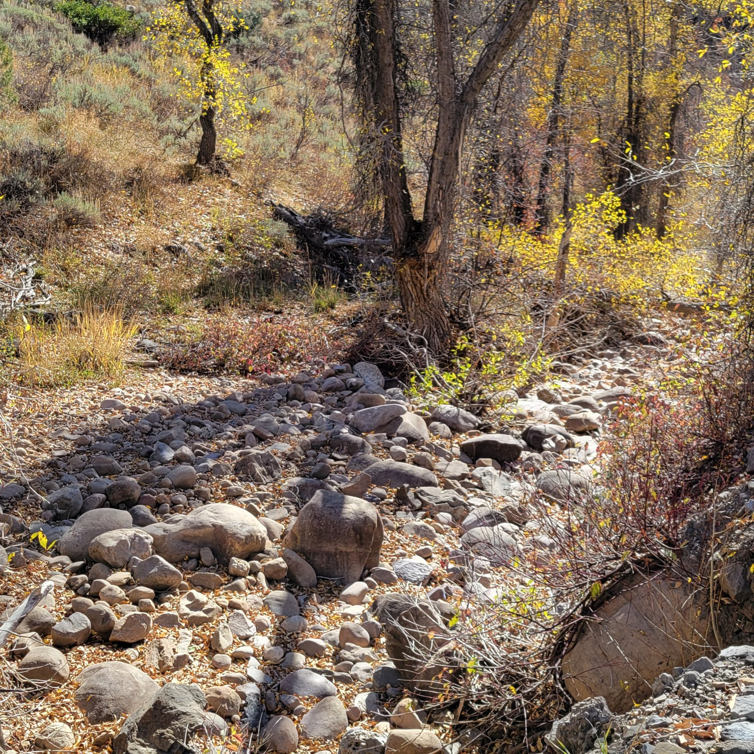 main property photo 24