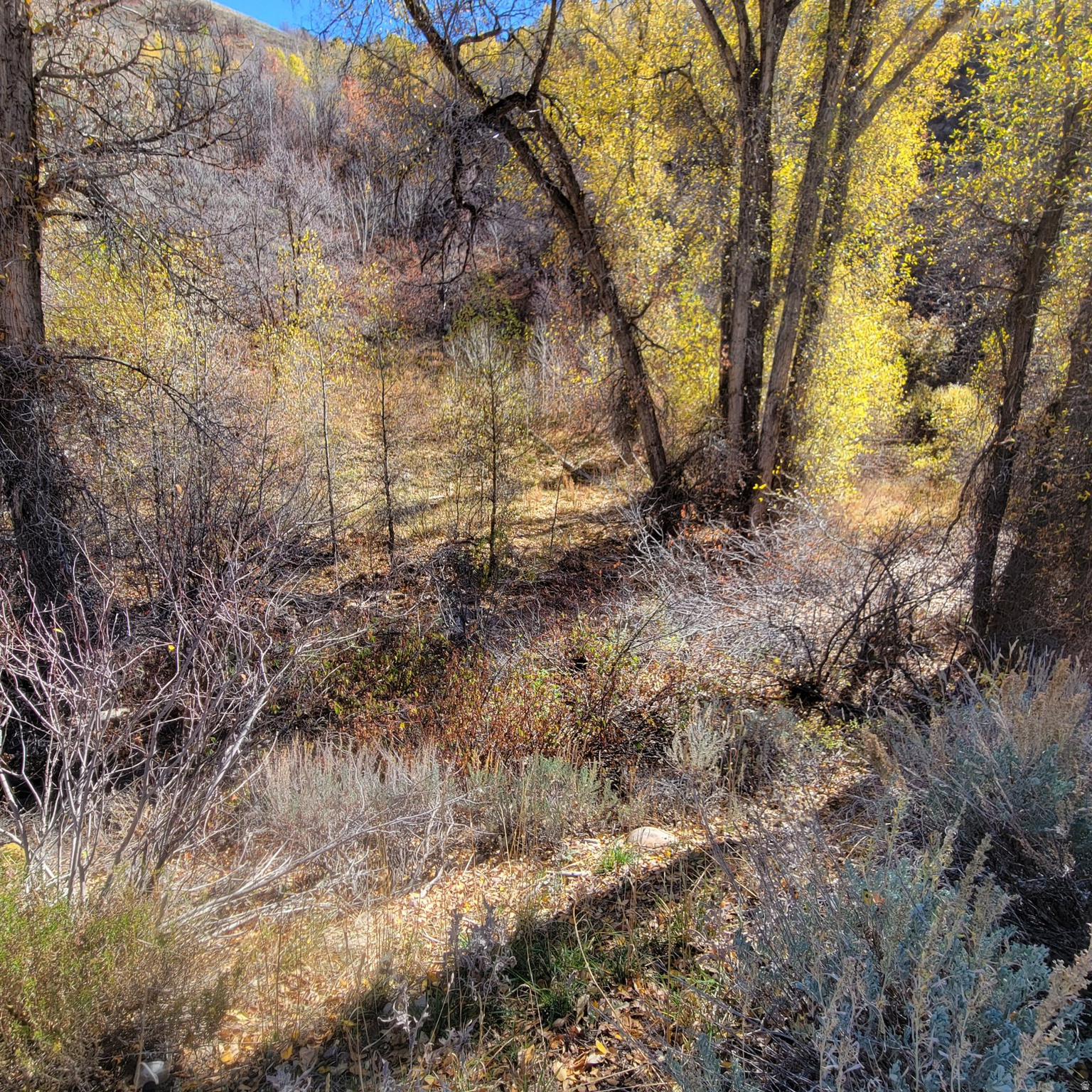 main property photo 28
