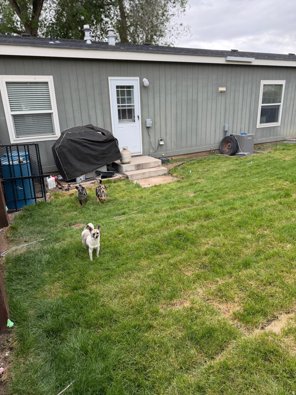 main property photo 18