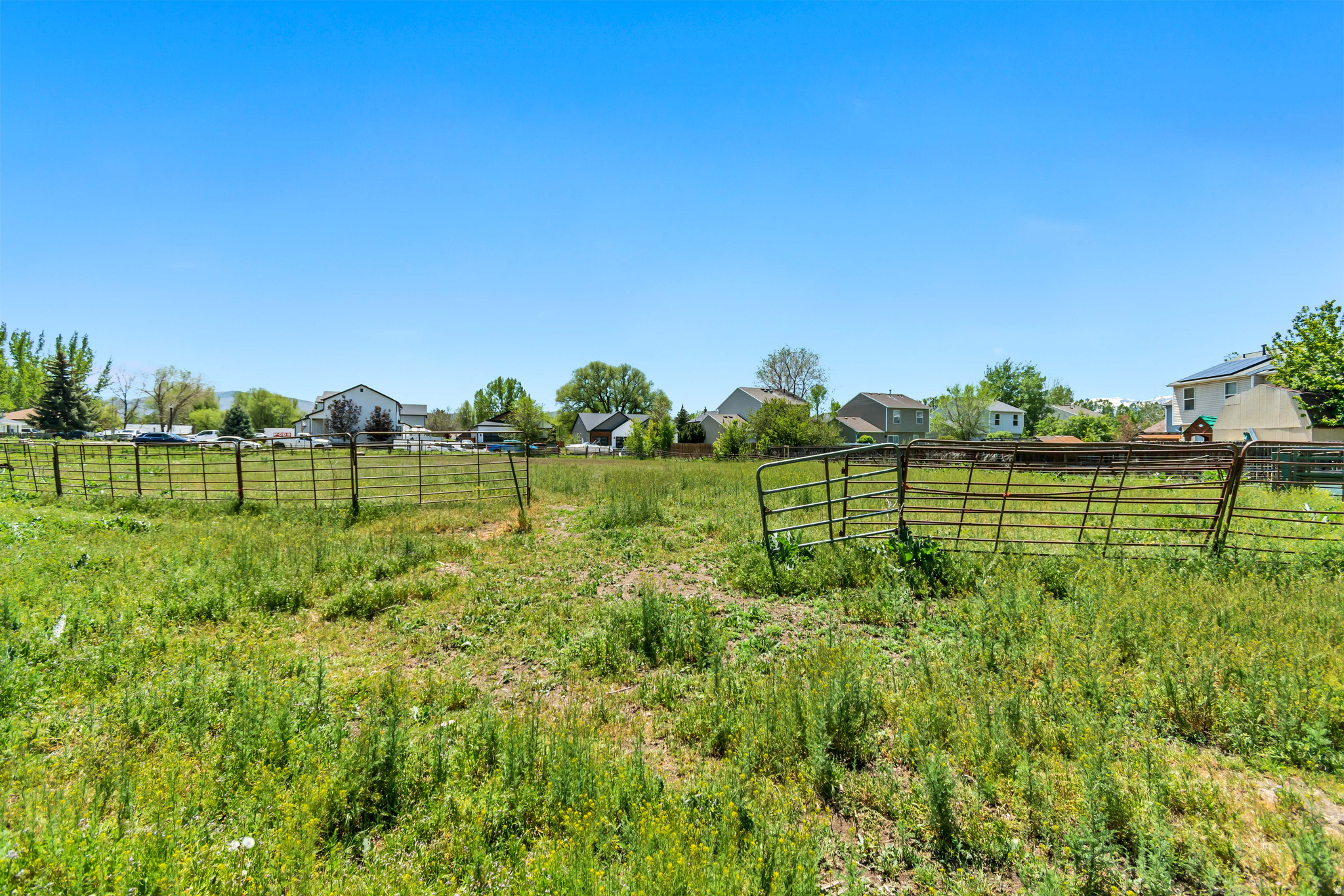 main property photo 13