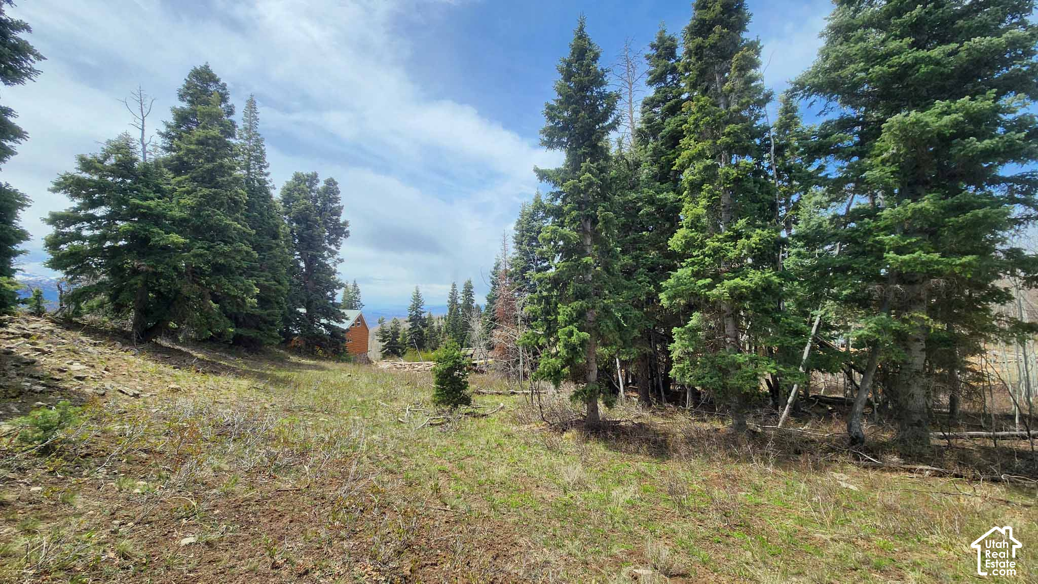 main property photo 9
