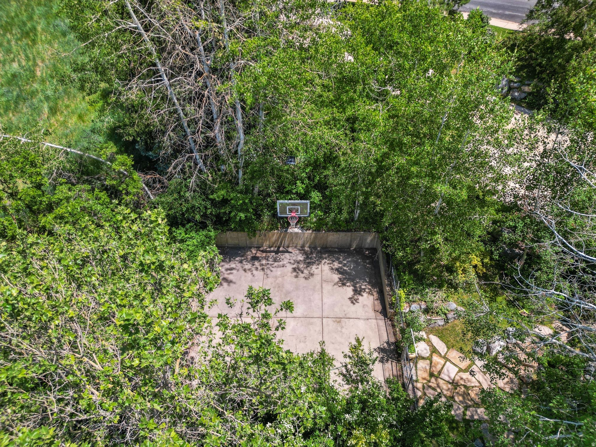 main property photo 60
