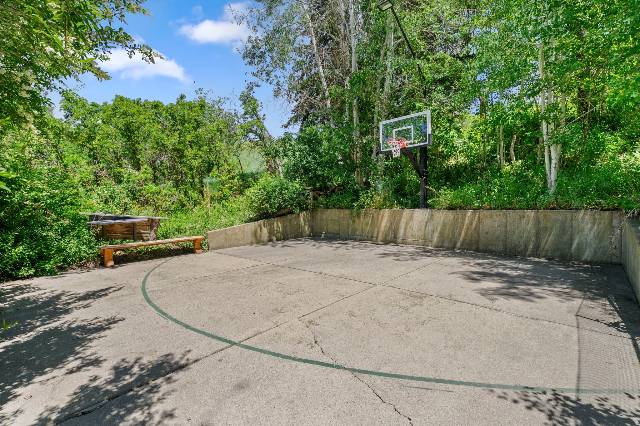 main property photo 61