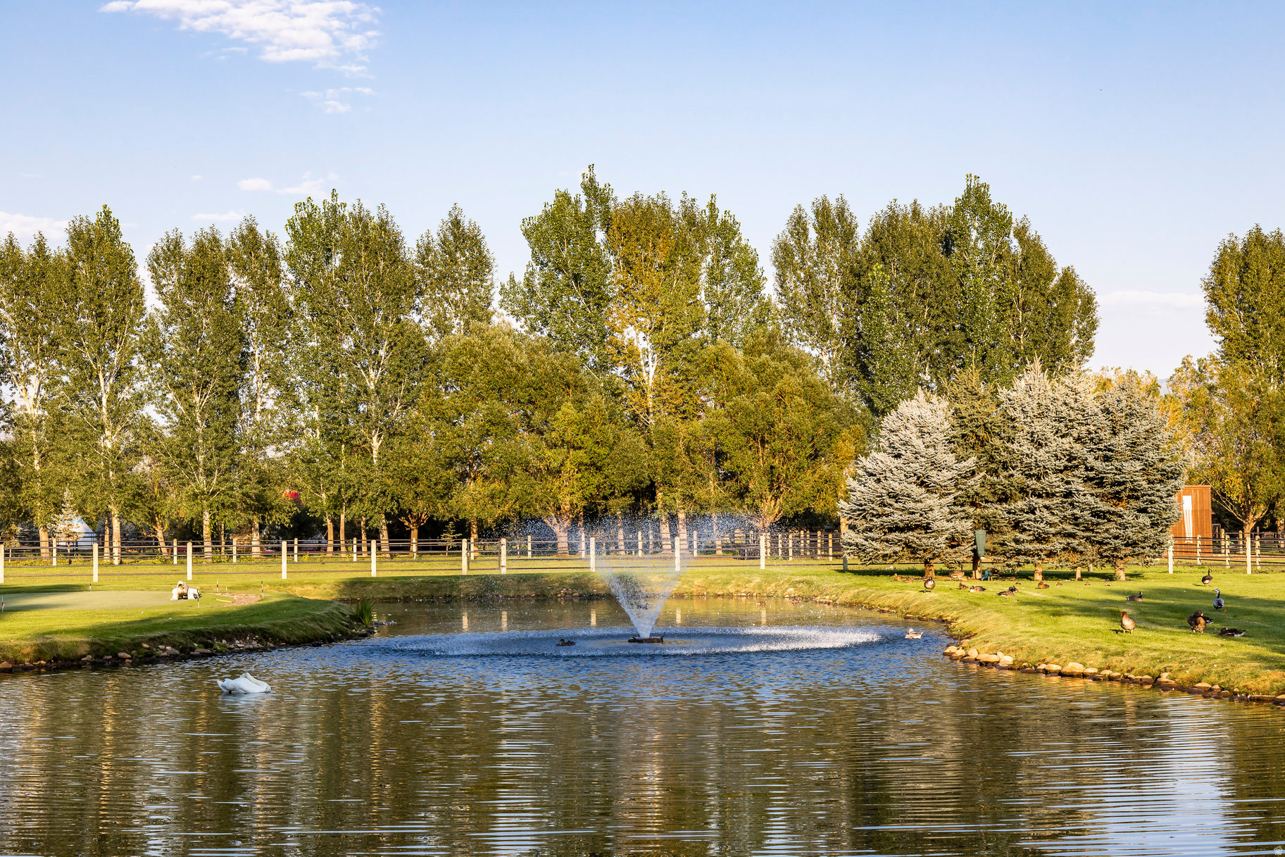 main property photo 50