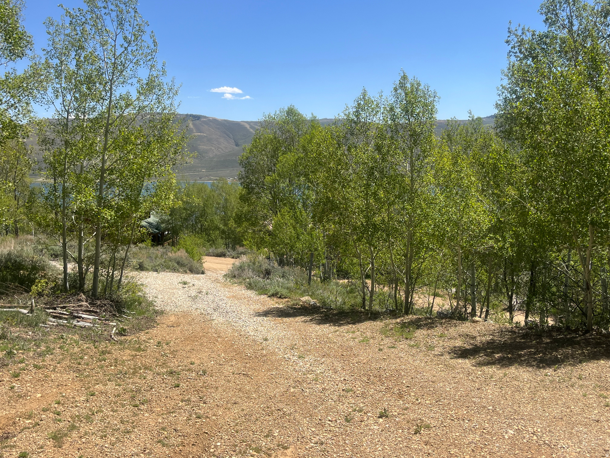 main property photo 57