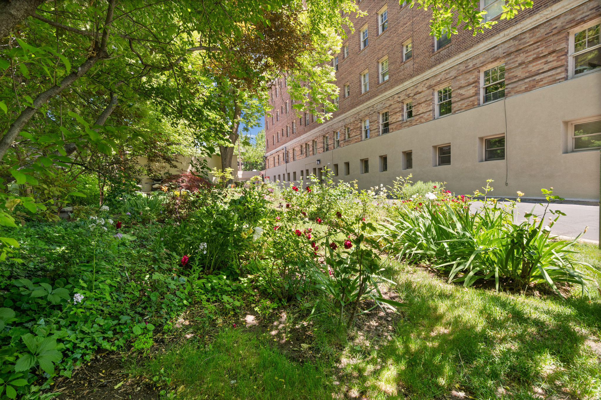 main property photo 47