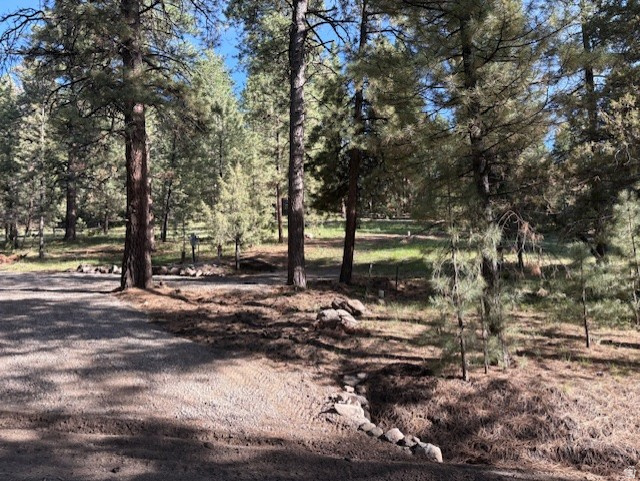 main property photo 8