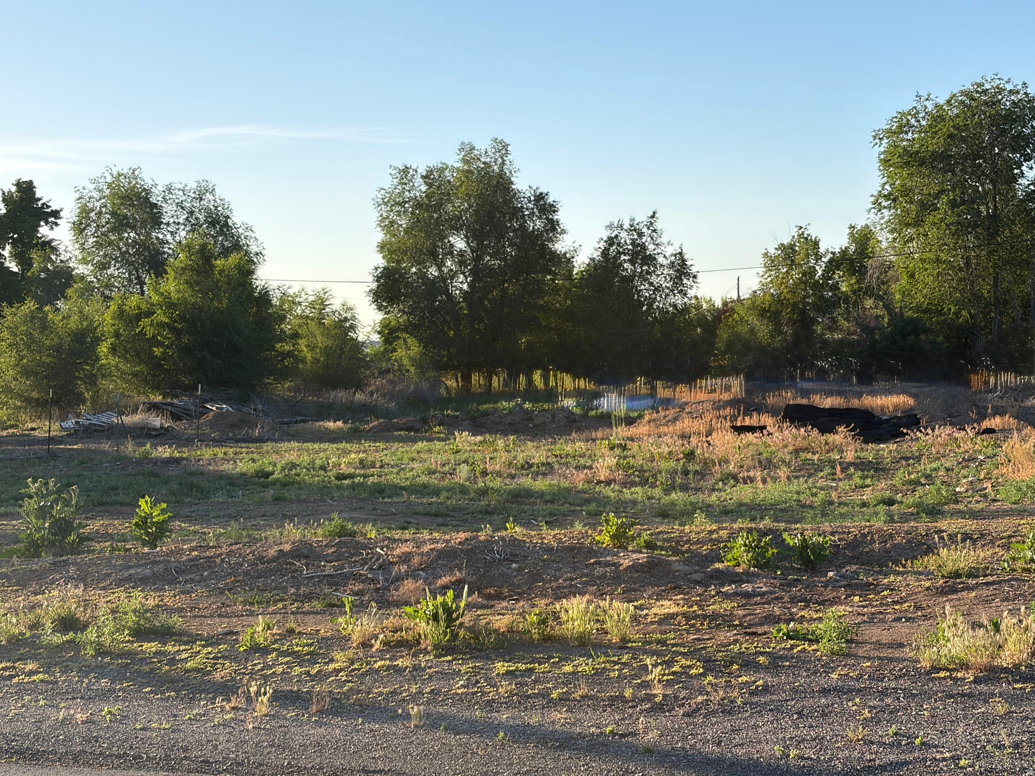 main property photo 4
