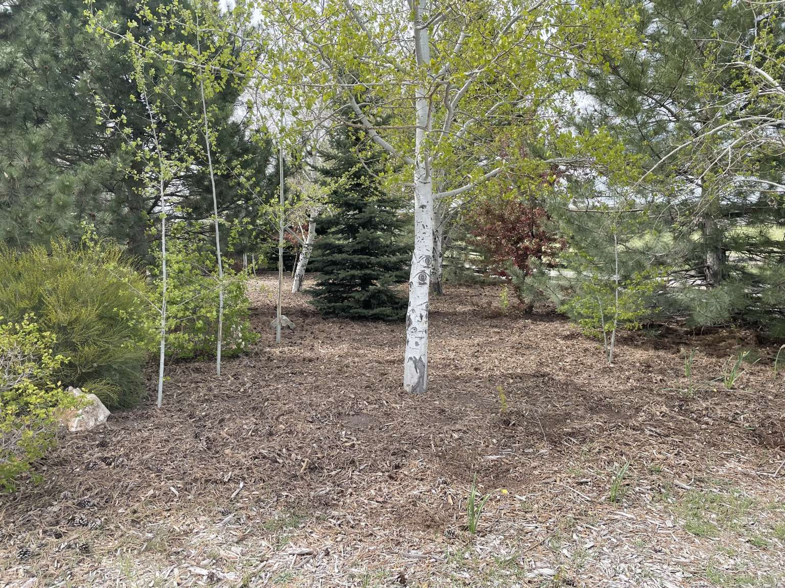main property photo 8