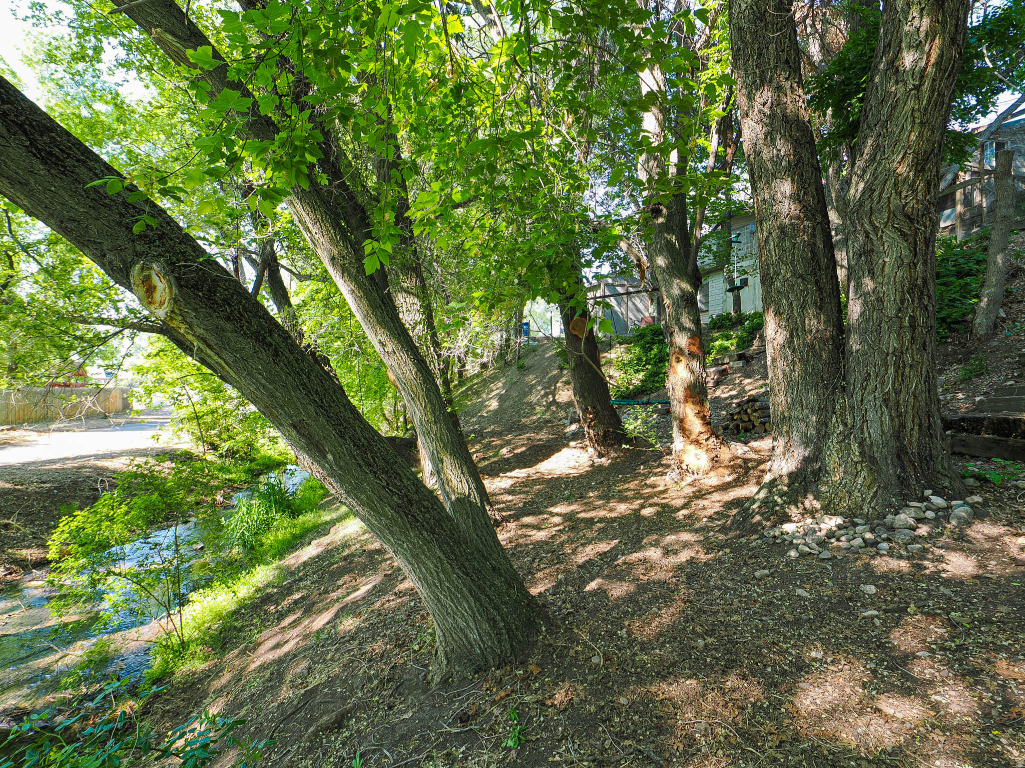 main property photo 31