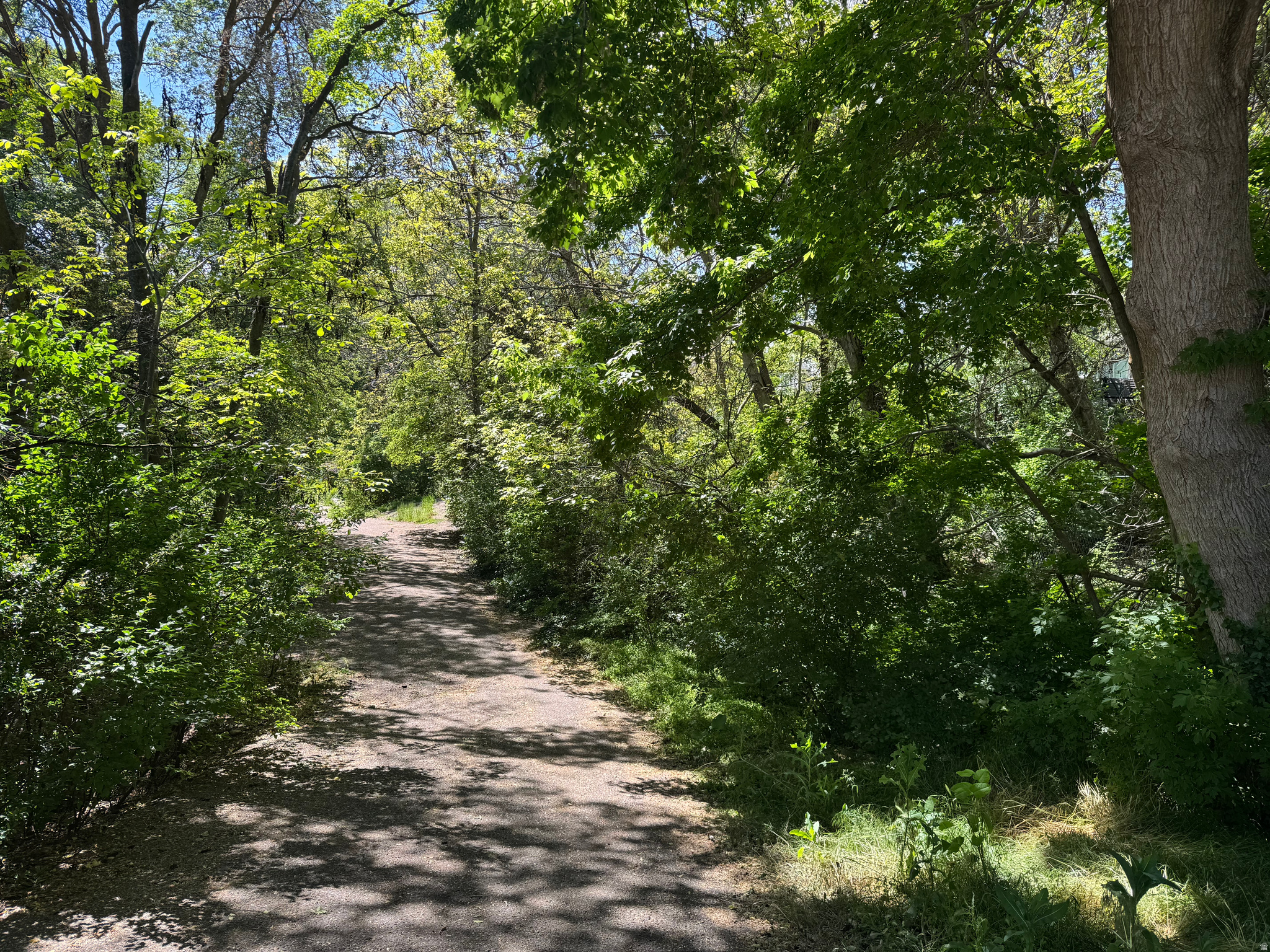 main property photo 60