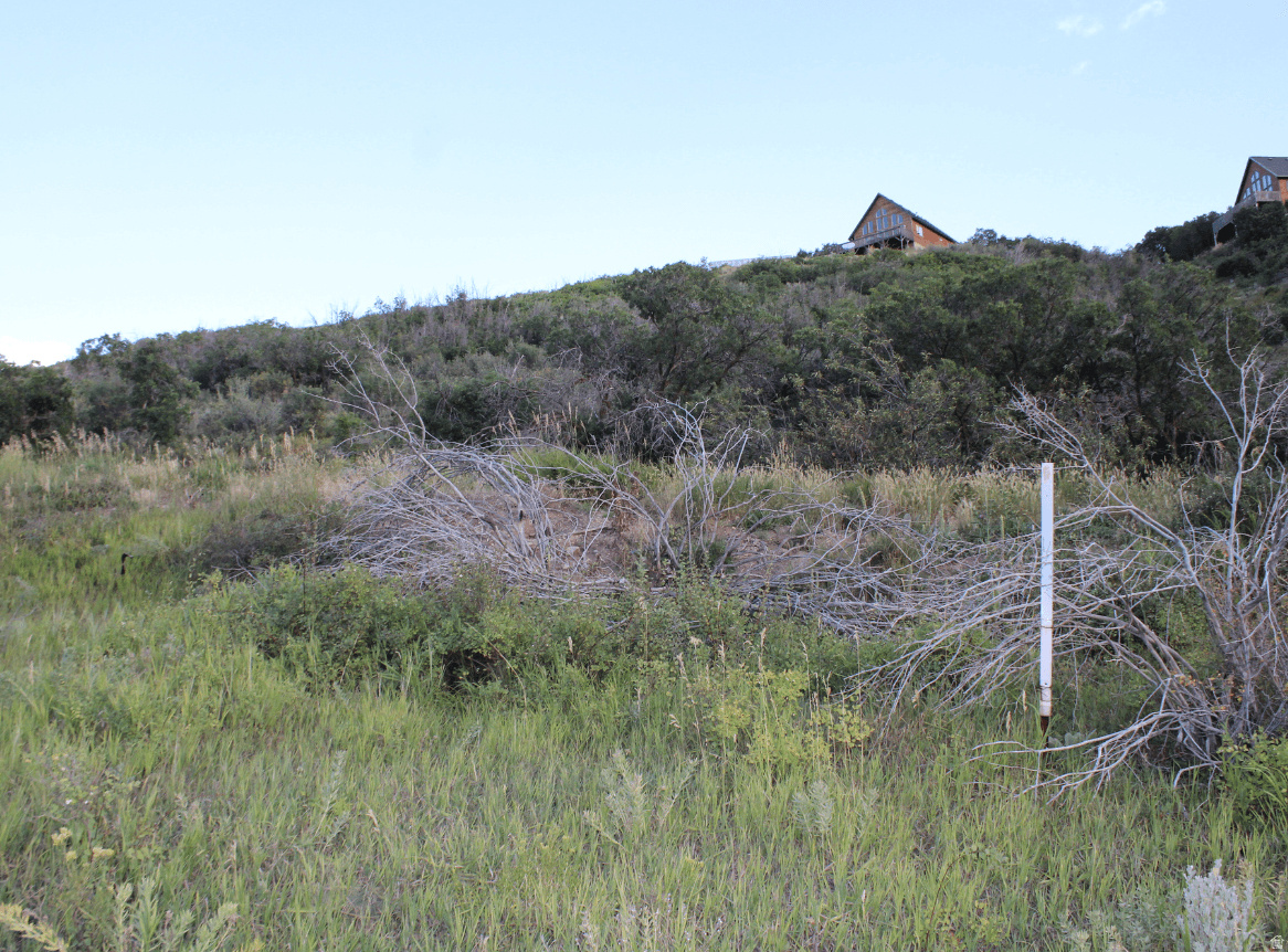 main property photo 11