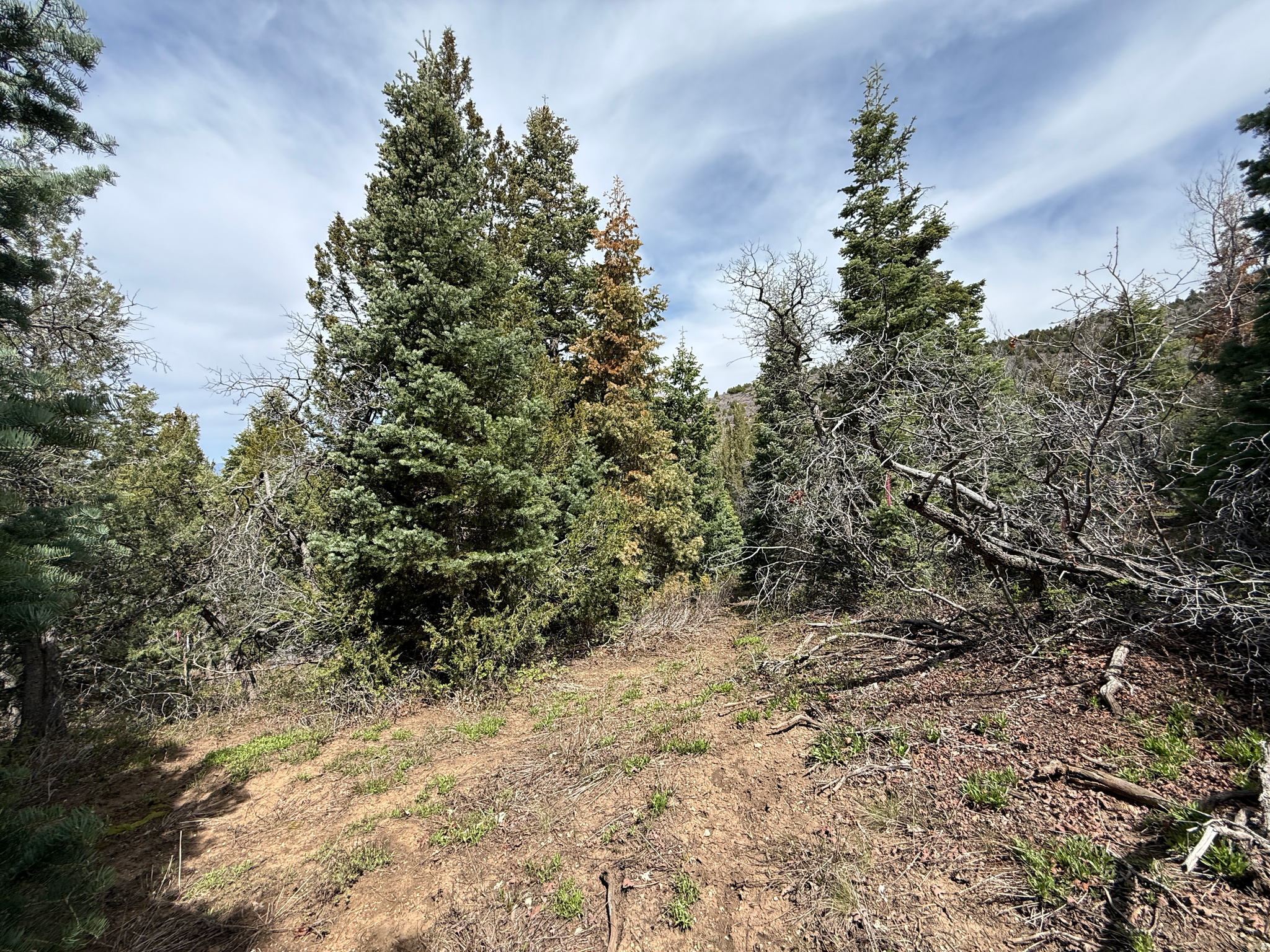 main property photo 19
