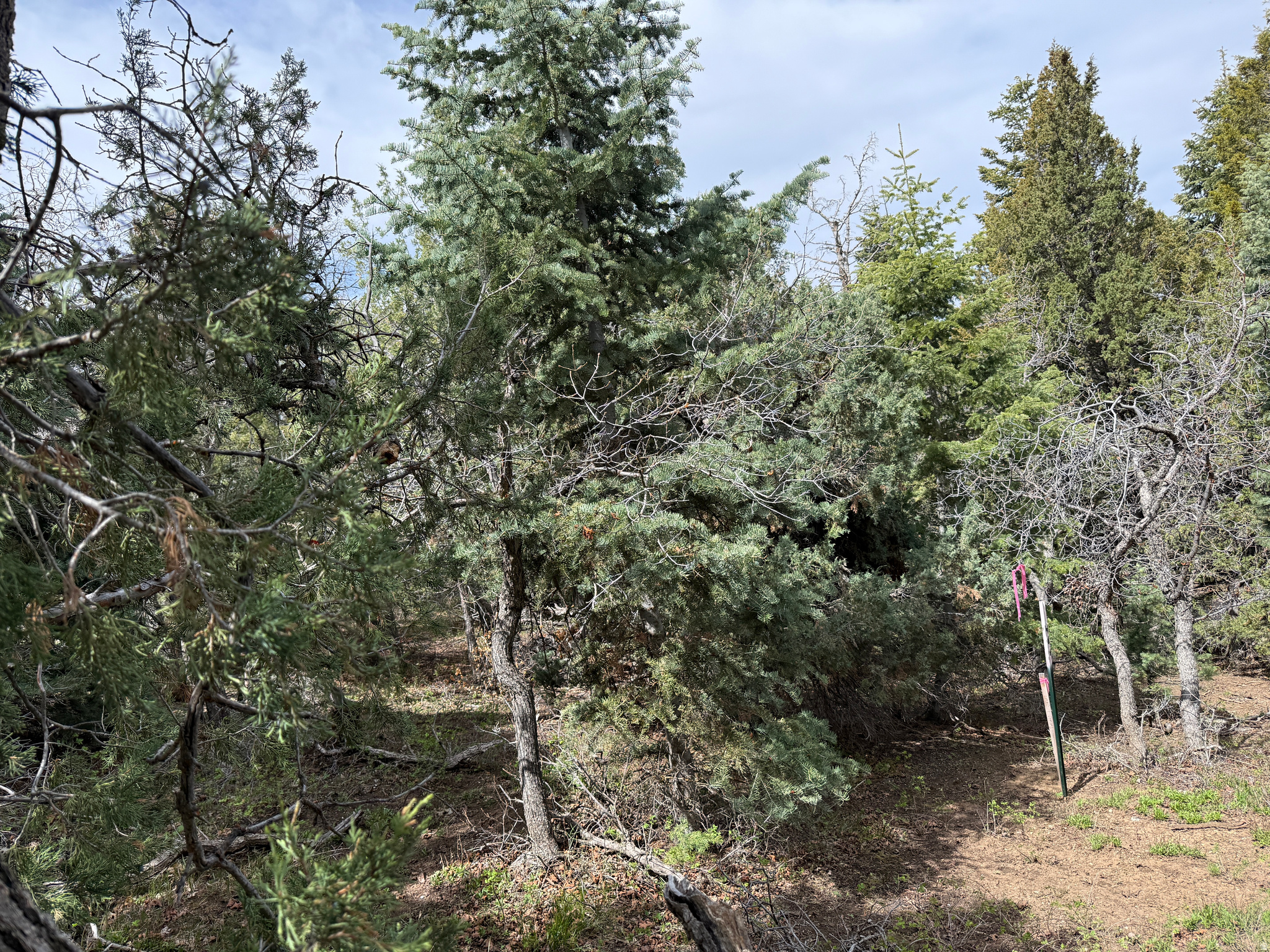 main property photo 20