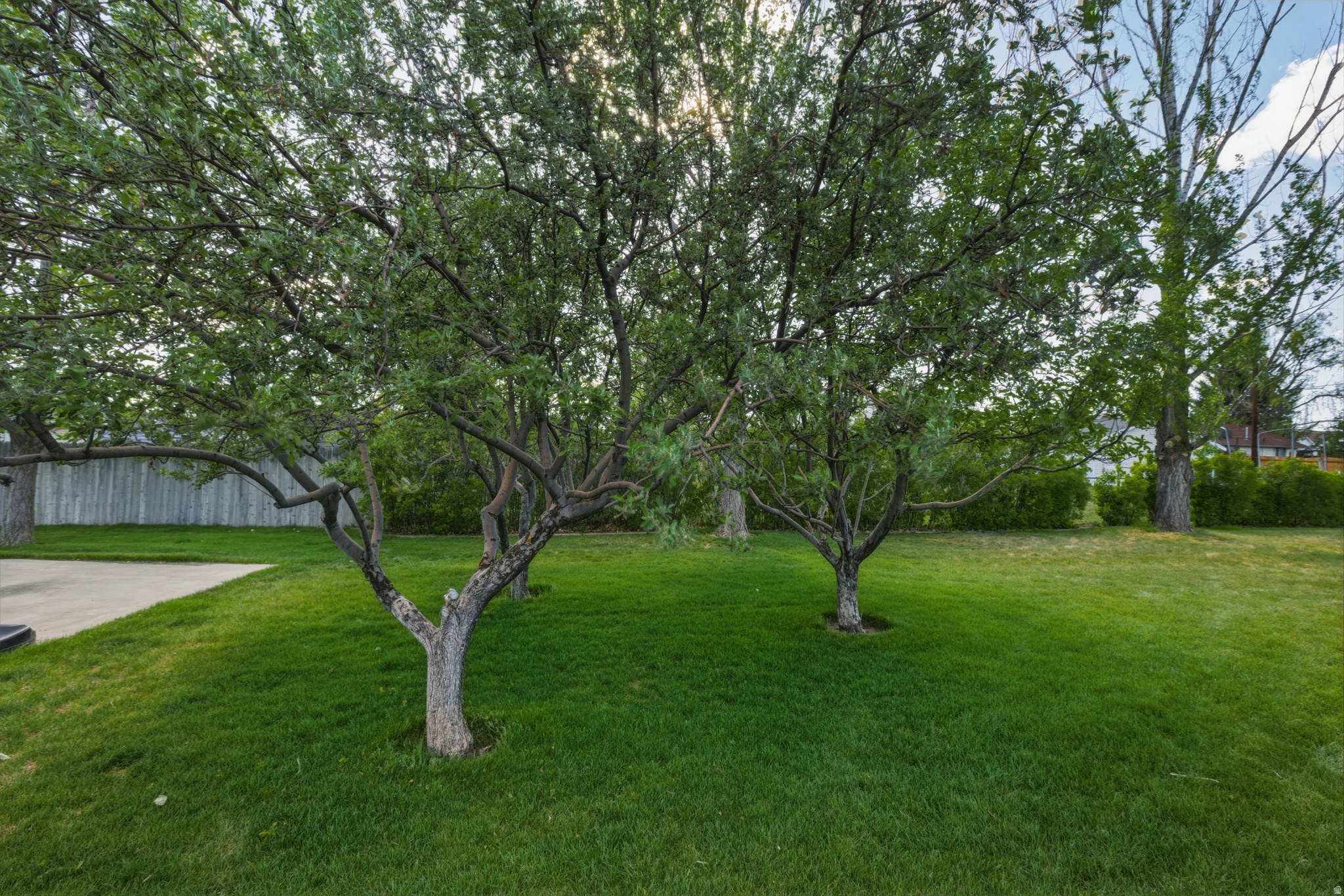 main property photo 51