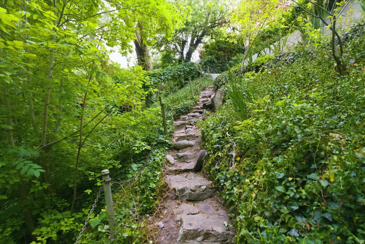 main property photo 29