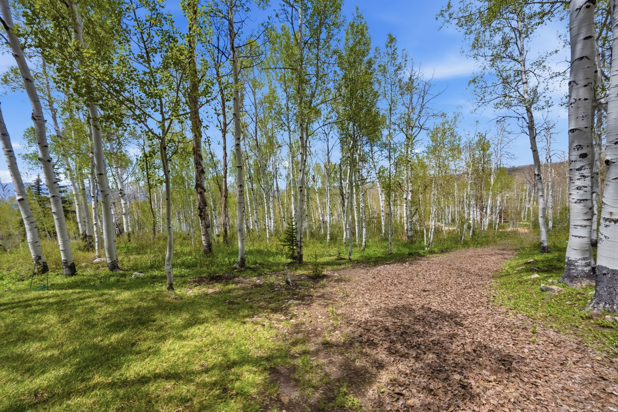 main property photo 31