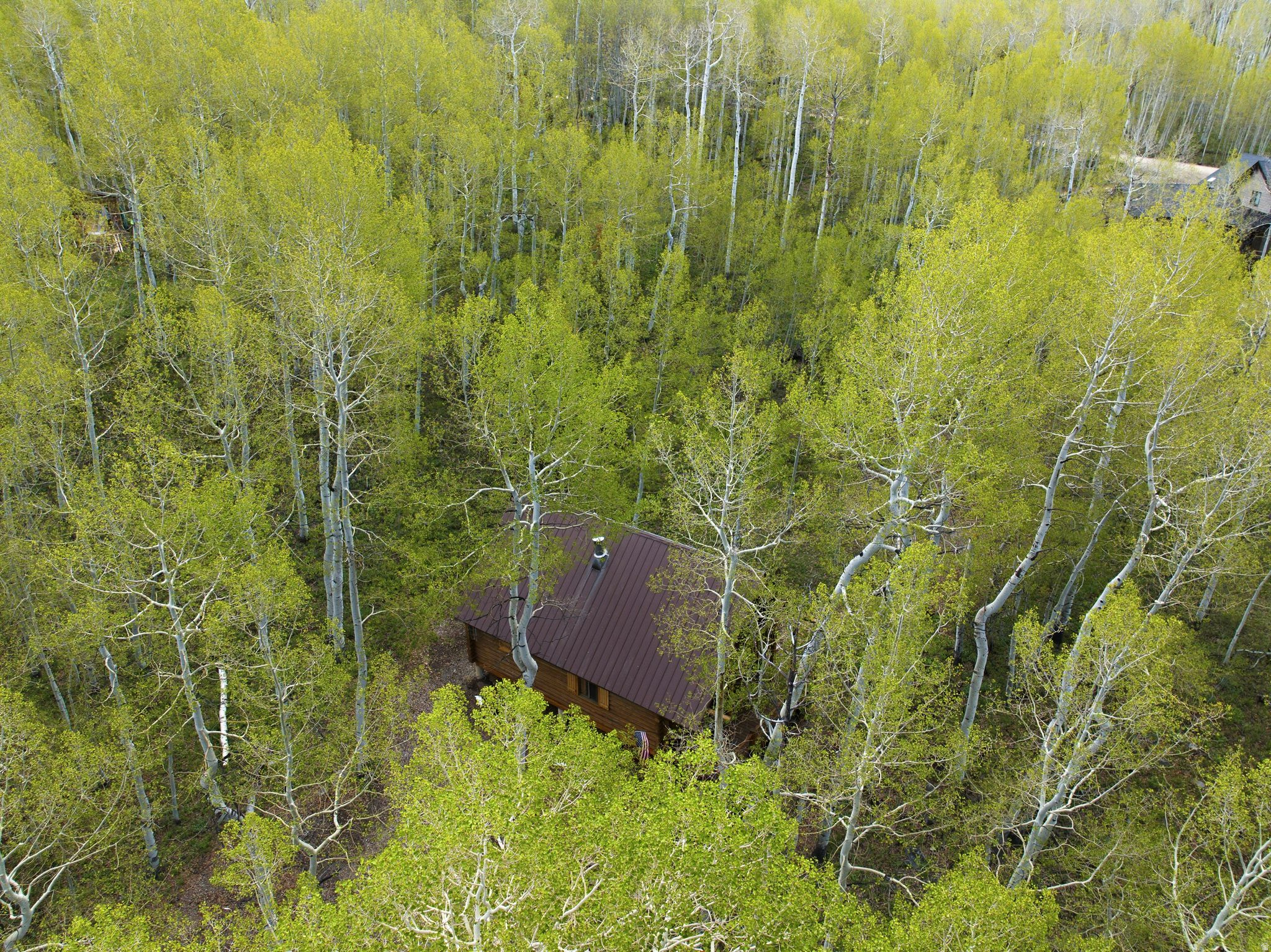main property photo 45
