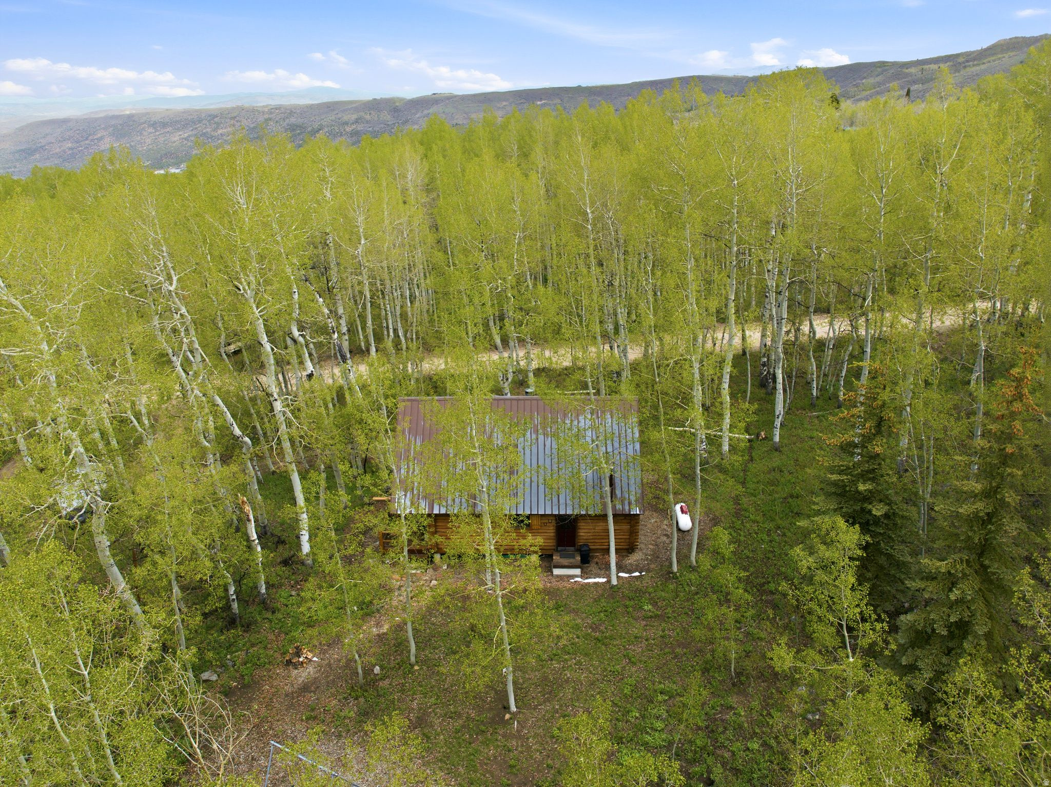 main property photo 48