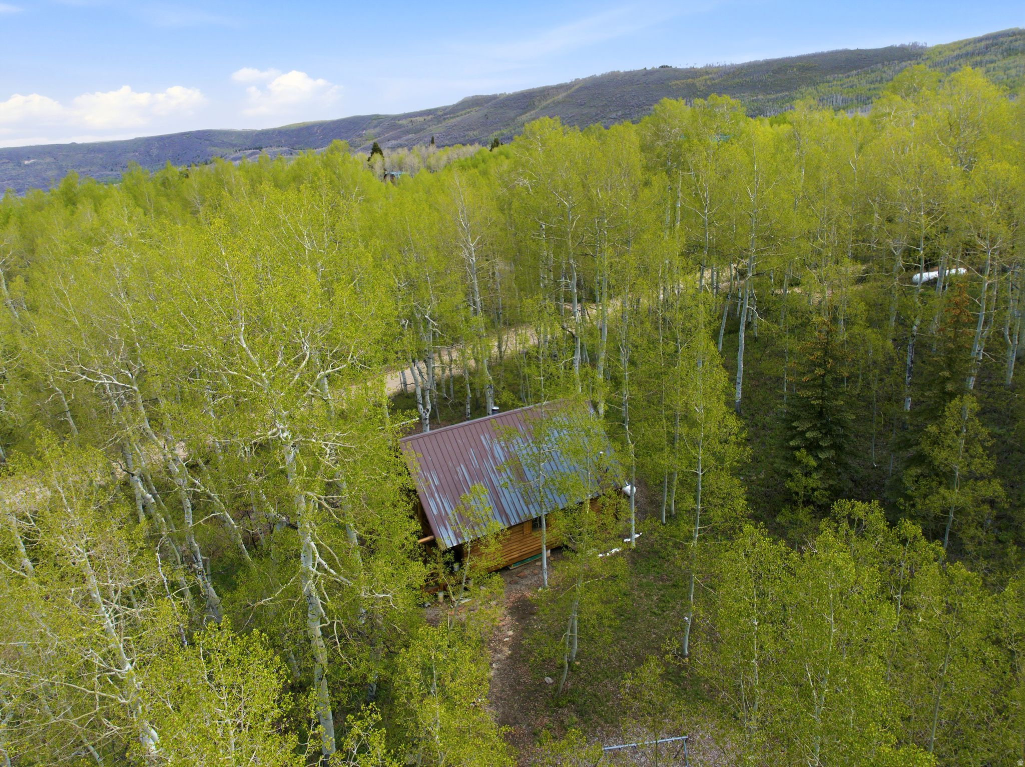 main property photo 49