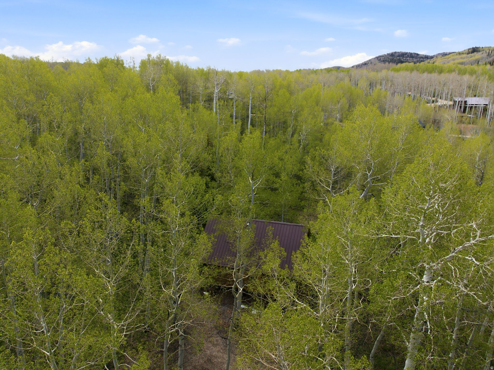 main property photo 52