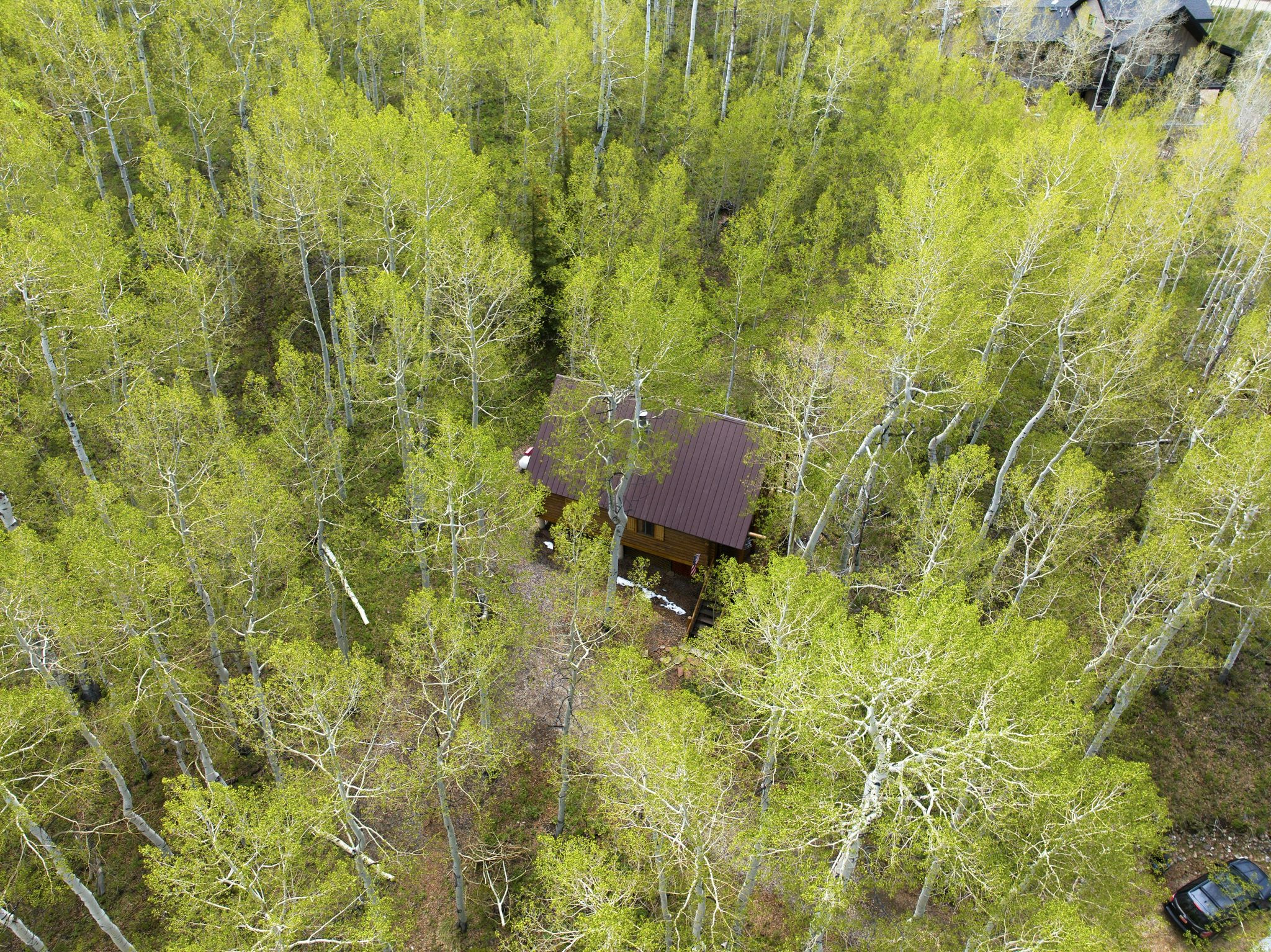 main property photo 53