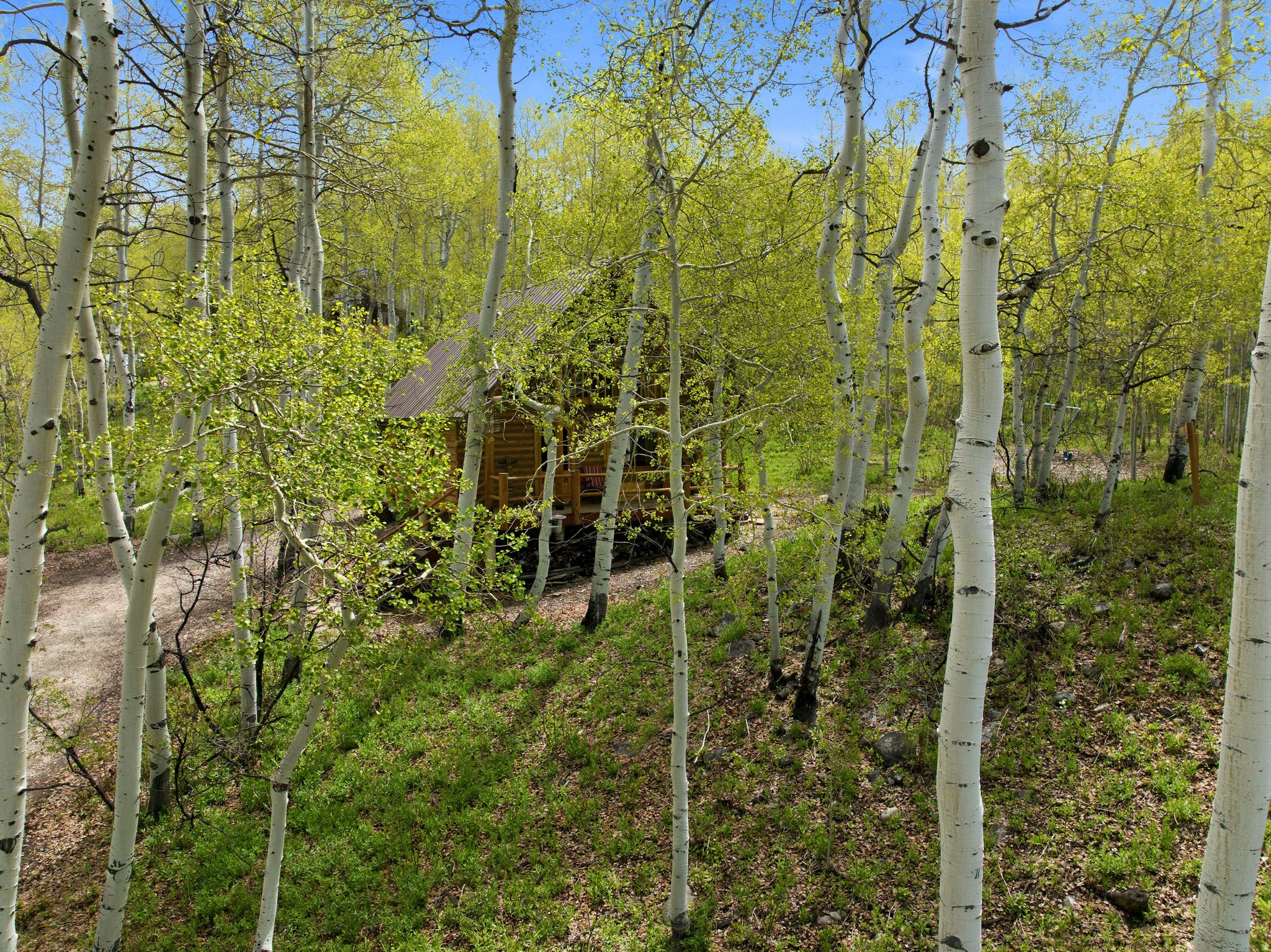 main property photo 57
