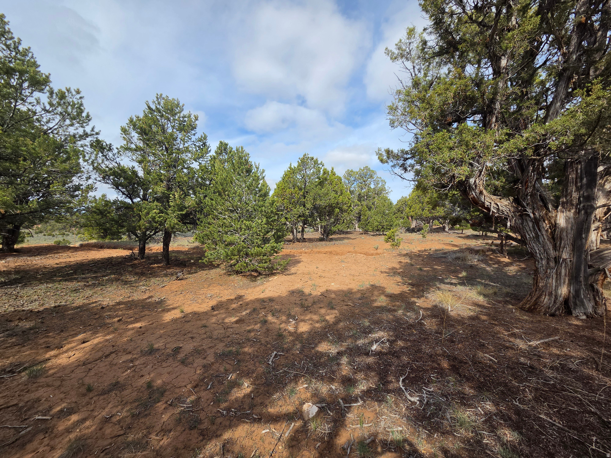 main property photo 52