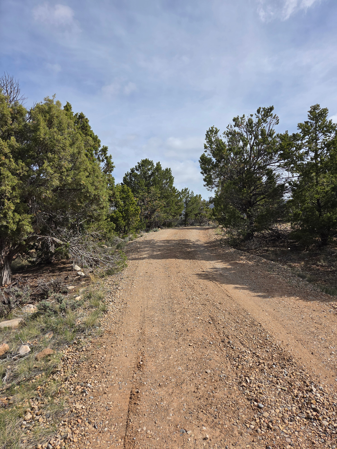 main property photo 55
